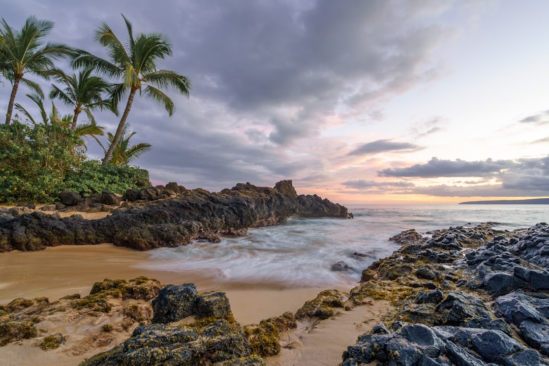 Photo Attract High-Paying Clients: SEO for Hawaii Niche and Specialized Services