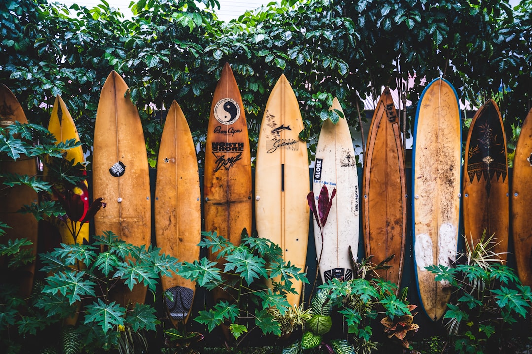 Photo Content Marketing for Local SEO: Engaging Your Hawaii Audience